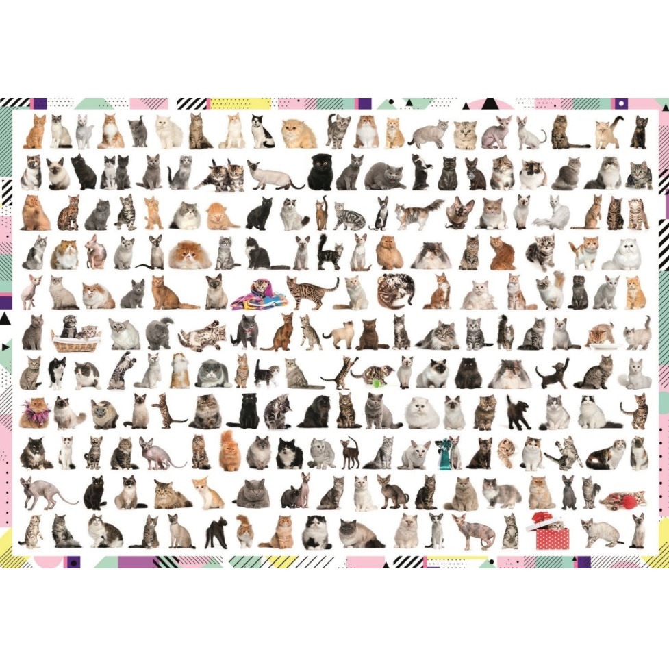 Puzzle 208 Kočiček 1000 dílků