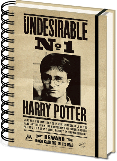 Zápisník Harry Potter - Sirius & Harry 3D