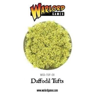 Daffodil Tufts - Narcis